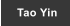 Tao Yin