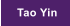 Tao Yin